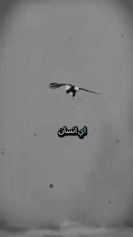 TikTok video thumbnail by el_ghraidi