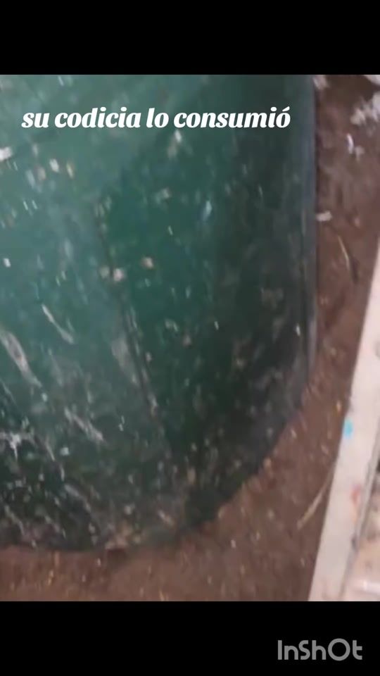 TikTok video thumbnail by javieralfs
