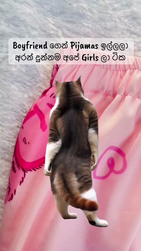 TikTok video thumbnail by pijama.lk