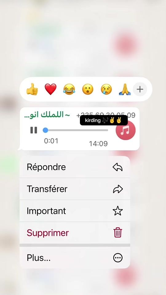 TikTok video thumbnail by connel_____bri