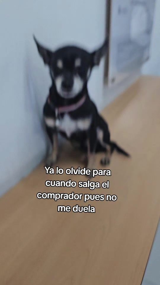 TikTok video thumbnail by maxymagda