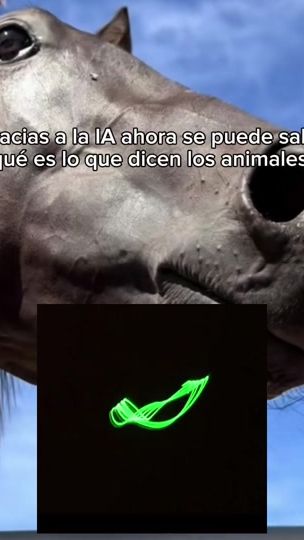 TikTok video thumbnail by kuaaatop