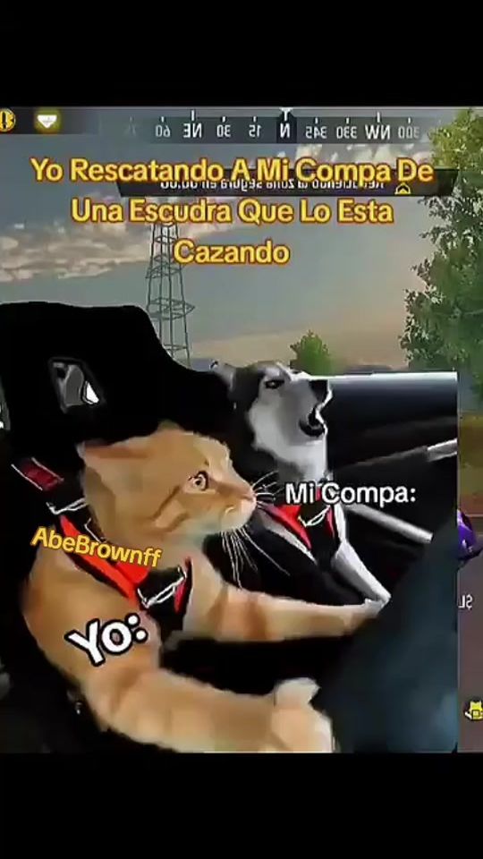 TikTok video thumbnail by 505_abe_brownff