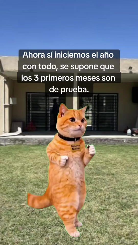 TikTok video thumbnail by borrachosexclusivos