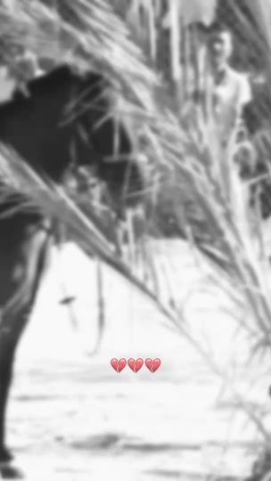 TikTok video thumbnail by ay.na.313