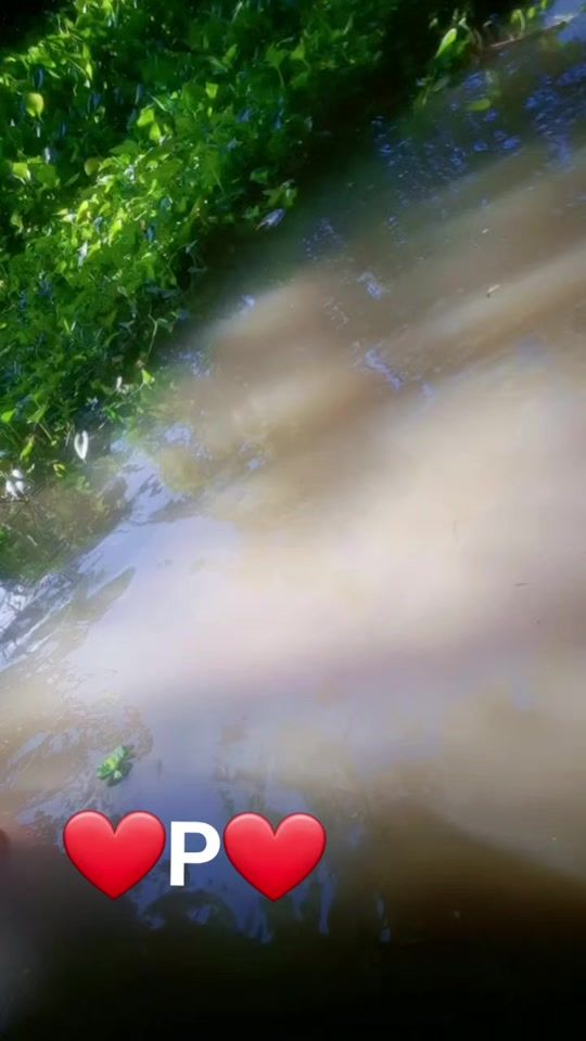 TikTok video thumbnail by aktermorium