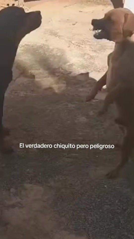 TikTok video thumbnail by es_paratii
