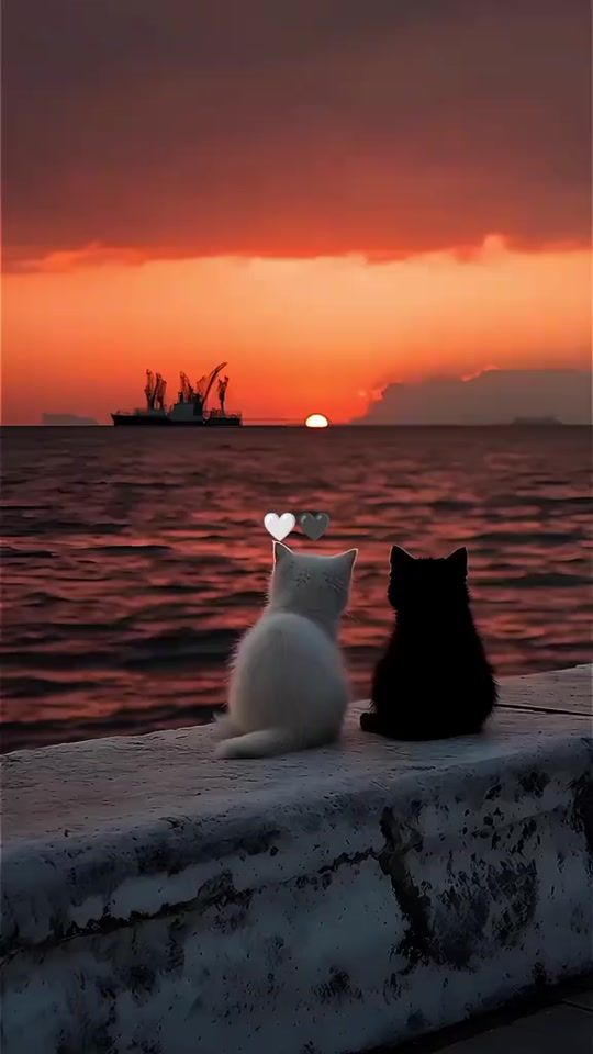 TikTok video thumbnail by jukar__21