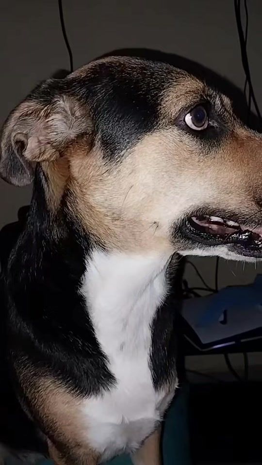 TikTok video thumbnail by aniveth13
