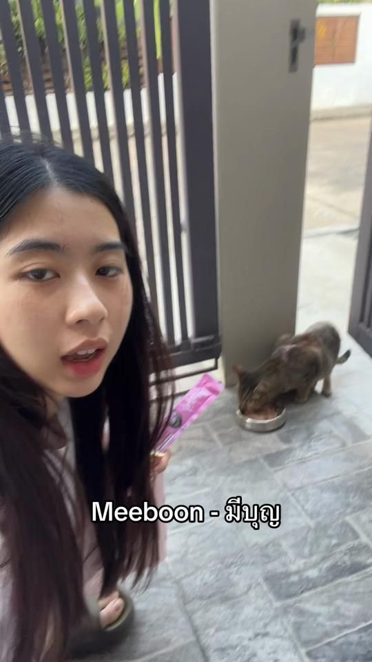 TikTok video thumbnail by triciatr