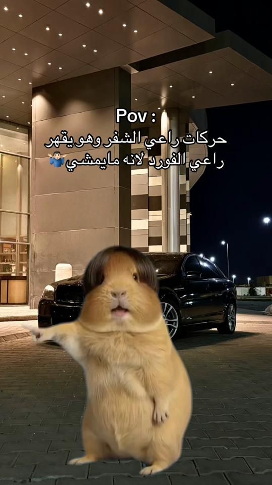 TikTok video thumbnail by lst16r