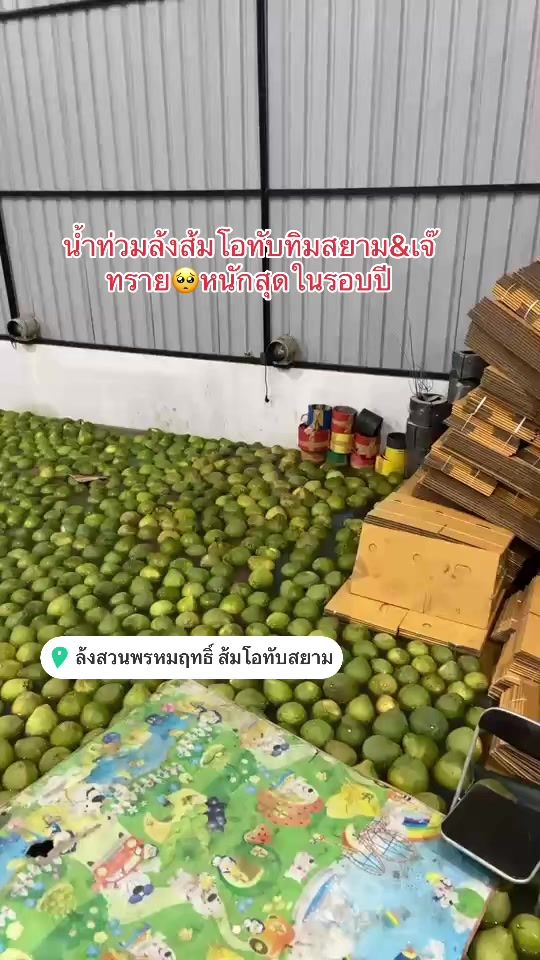 TikTok video thumbnail by 44atchara