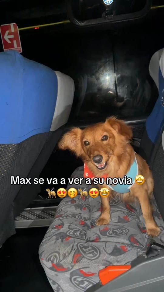 TikTok video thumbnail by jhanejc8