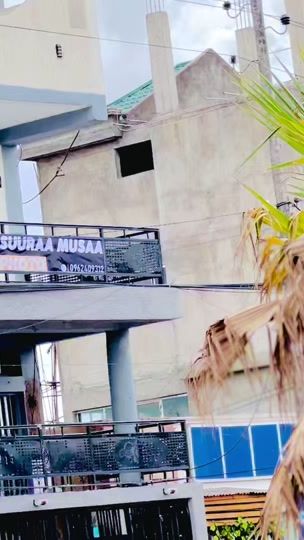 TikTok video thumbnail by musaphoto2