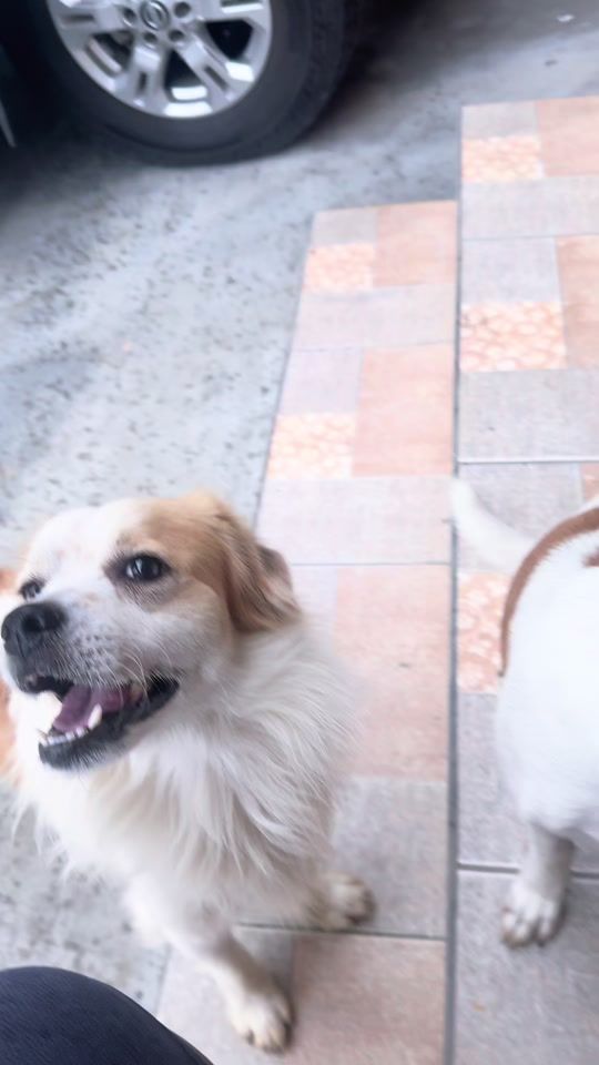 TikTok video thumbnail by deejsherry