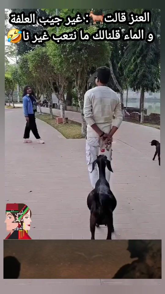 TikTok video thumbnail by libiaishedor