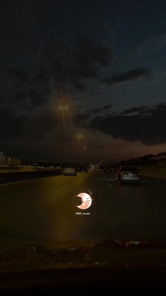 TikTok video thumbnail by wm_music0