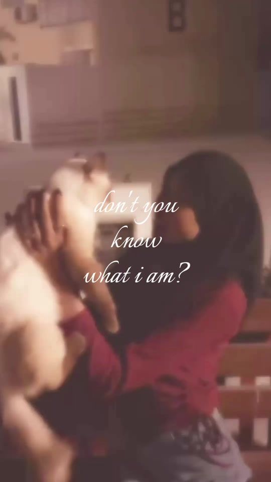 TikTok video thumbnail by shimsyyyyyyyyyyy