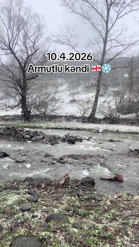 TikTok video thumbnail by dmanisi111