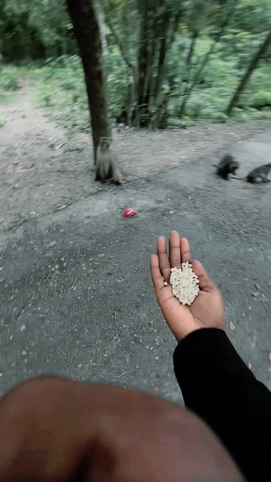 TikTok video thumbnail by mafuz_on_fire_2
