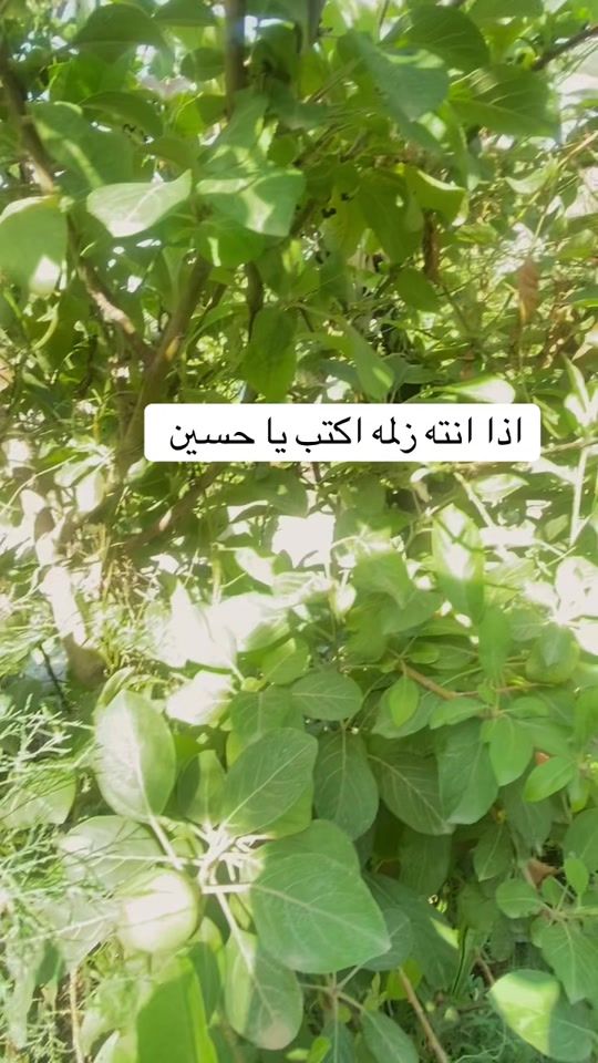 TikTok video thumbnail by s.xt5j