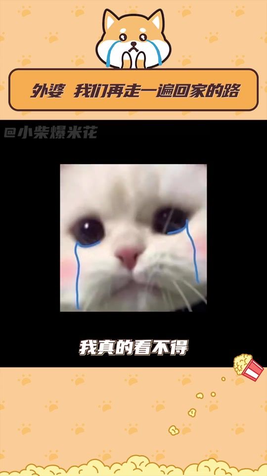 TikTok video thumbnail by lovetaiwantw