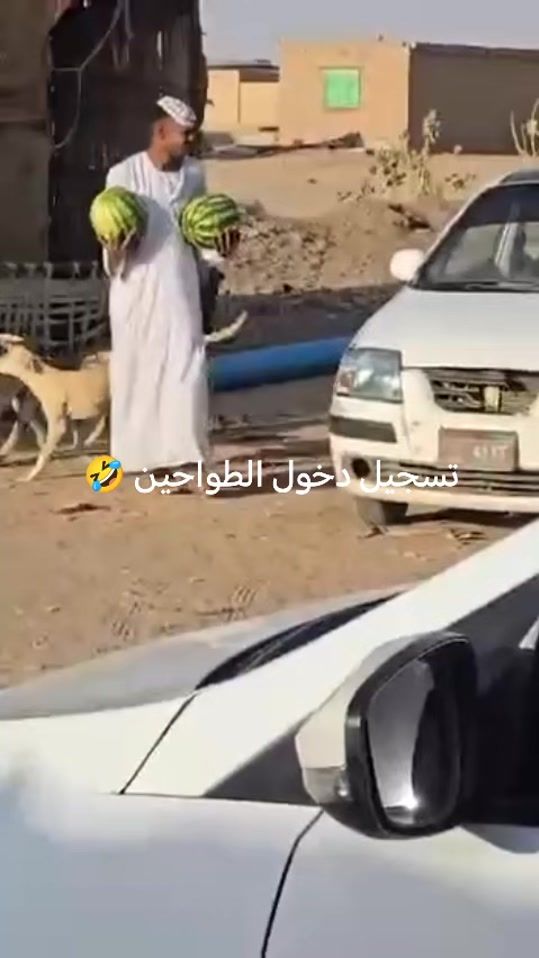 TikTok video thumbnail by user95wadhamed