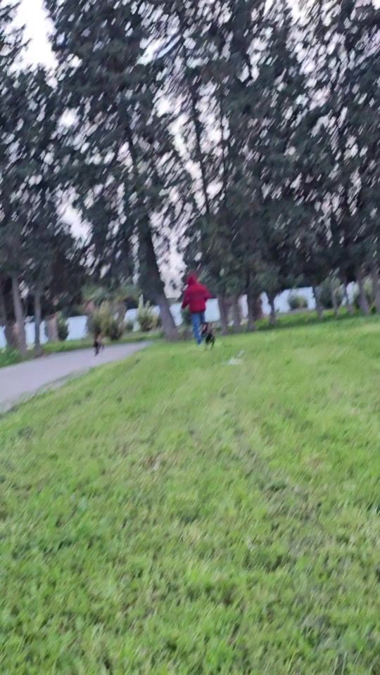 TikTok video thumbnail by seifkhedher