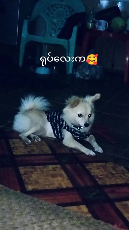 TikTok video thumbnail by maysoe292
