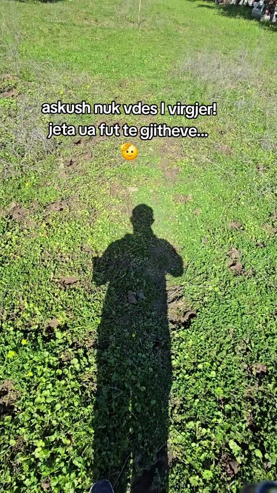 TikTok video thumbnail by goat.flipflops