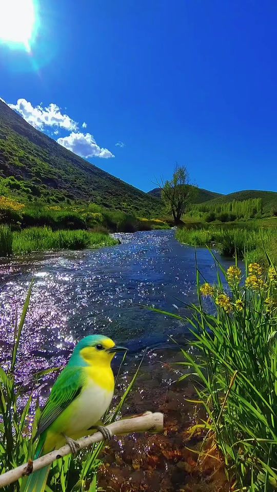 TikTok video thumbnail by us1443