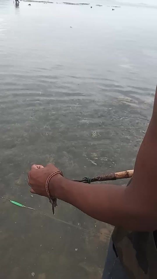 TikTok video thumbnail by bonnesalade