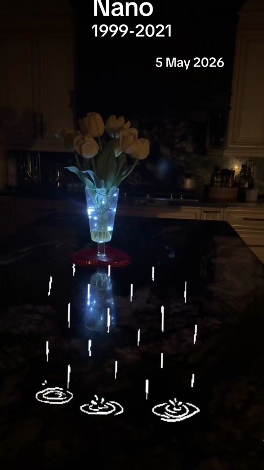 TikTok video thumbnail by nano.ali38