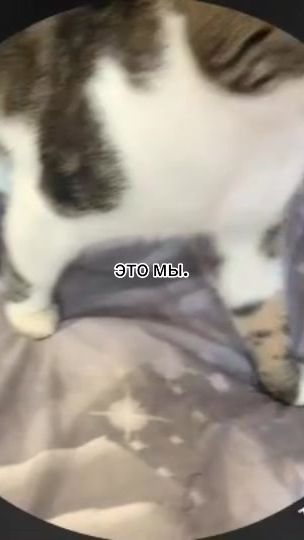 TikTok video thumbnail by zlatysh2