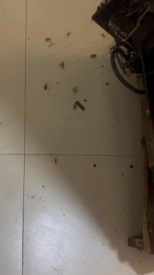 TikTok video thumbnail by halalelectronics