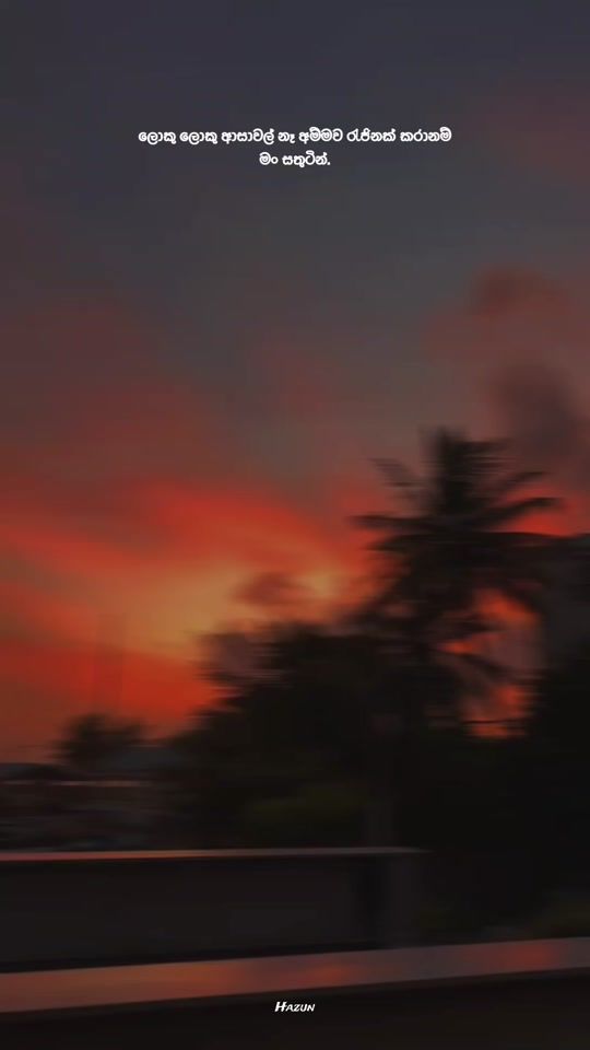 TikTok video thumbnail by korean_flora_