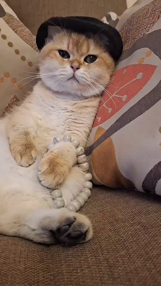 TikTok video thumbnail by zoo_jasmin