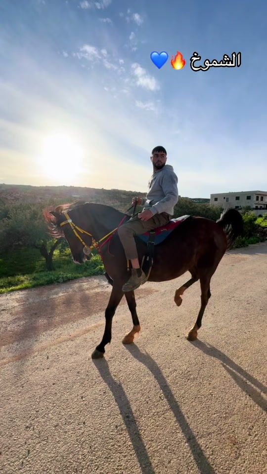 TikTok video thumbnail by yazan_kishe
