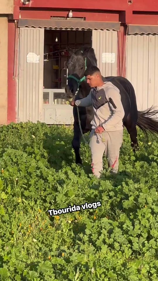 TikTok video thumbnail by 1957888.2
