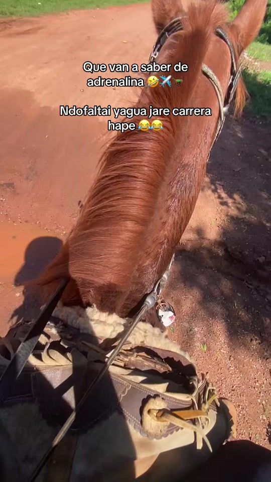 TikTok video thumbnail by shakiperezcolman