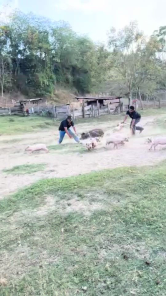 TikTok video thumbnail by marianaherrera127