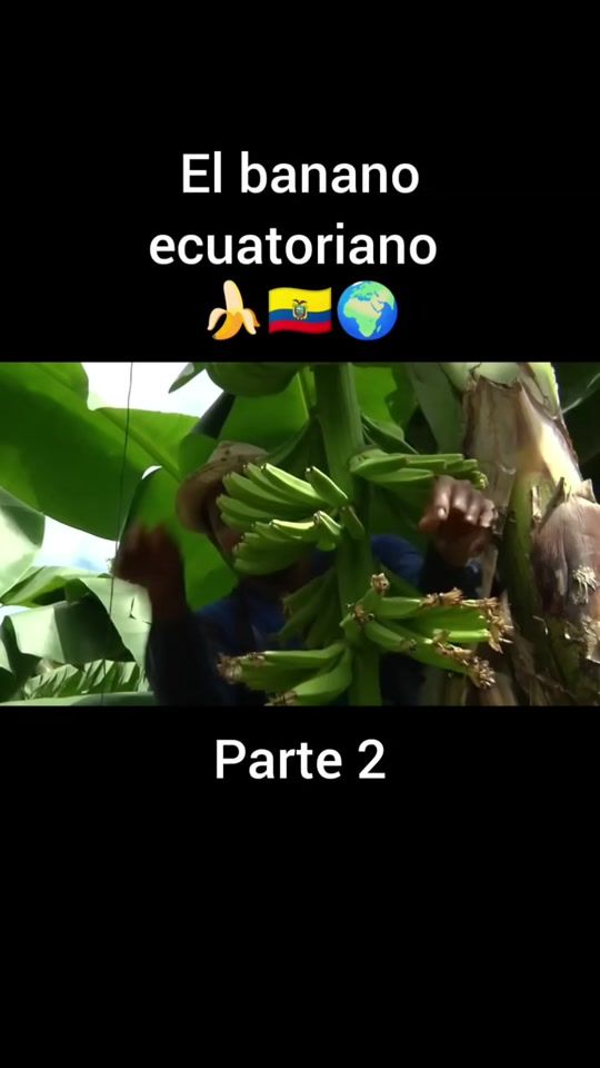 TikTok video thumbnail by soyjbdani