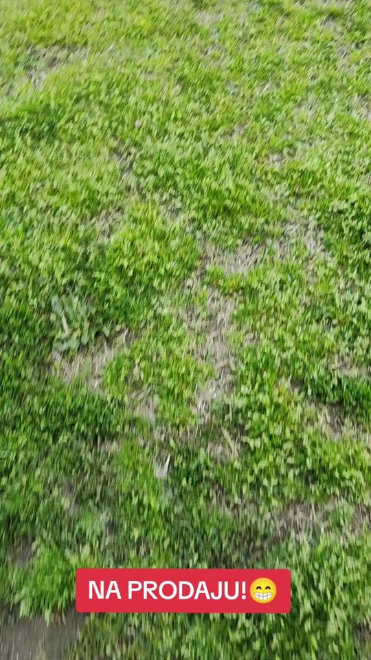 TikTok video thumbnail by codii99_