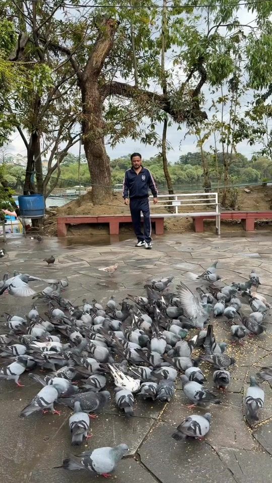 TikTok video thumbnail by jayakishanbasnet