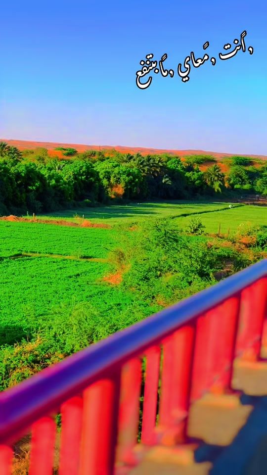 TikTok video thumbnail by falafel552