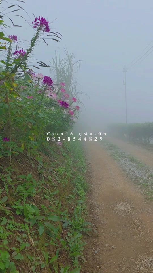 TikTok video thumbnail by user5083012526595