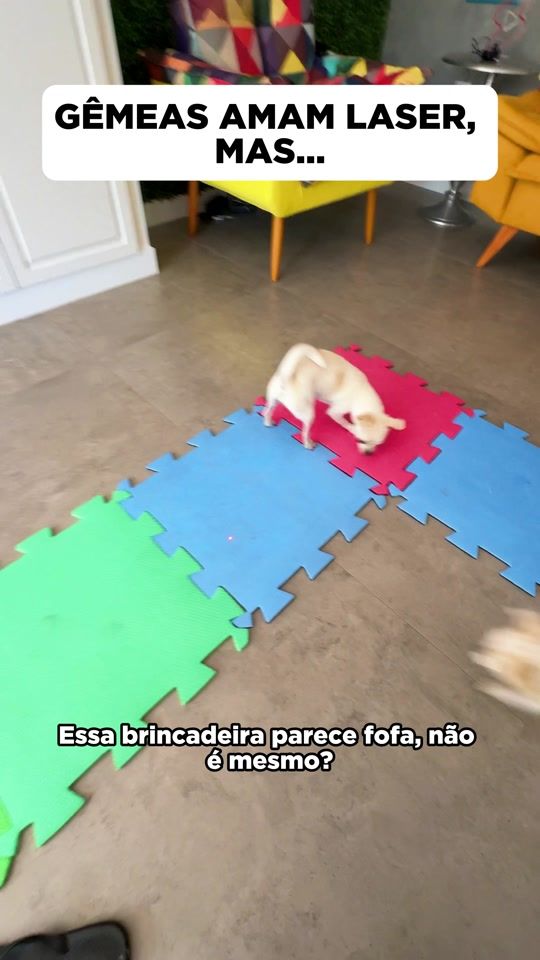 TikTok video thumbnail by pequenosprincipes