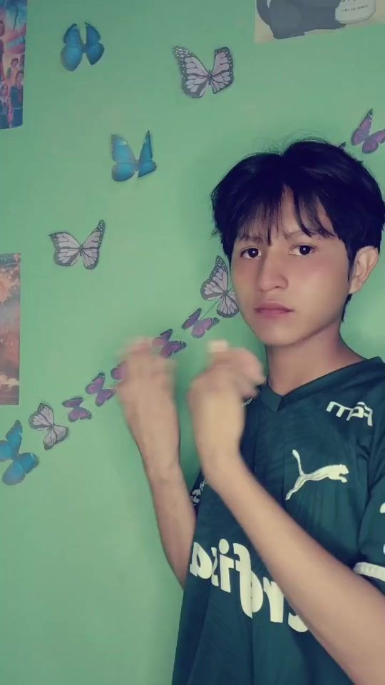 TikTok video thumbnail by louremberg3