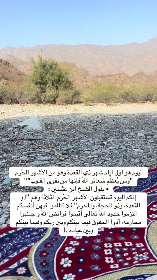 TikTok video thumbnail by mshdidi1