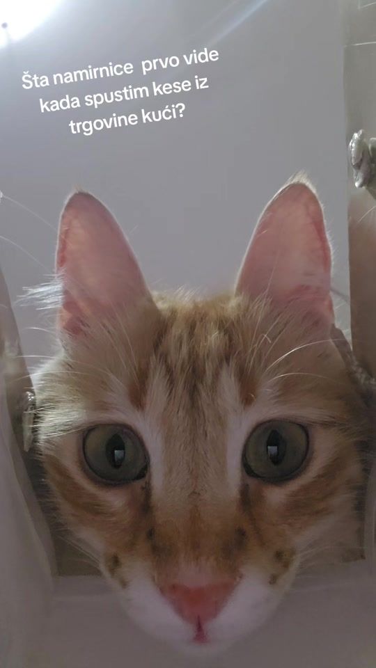 TikTok video thumbnail by selmas1304
